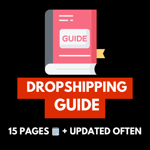 Dropshipping Guide (15 Pages)